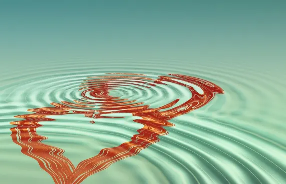 Casoola Casino Supporto